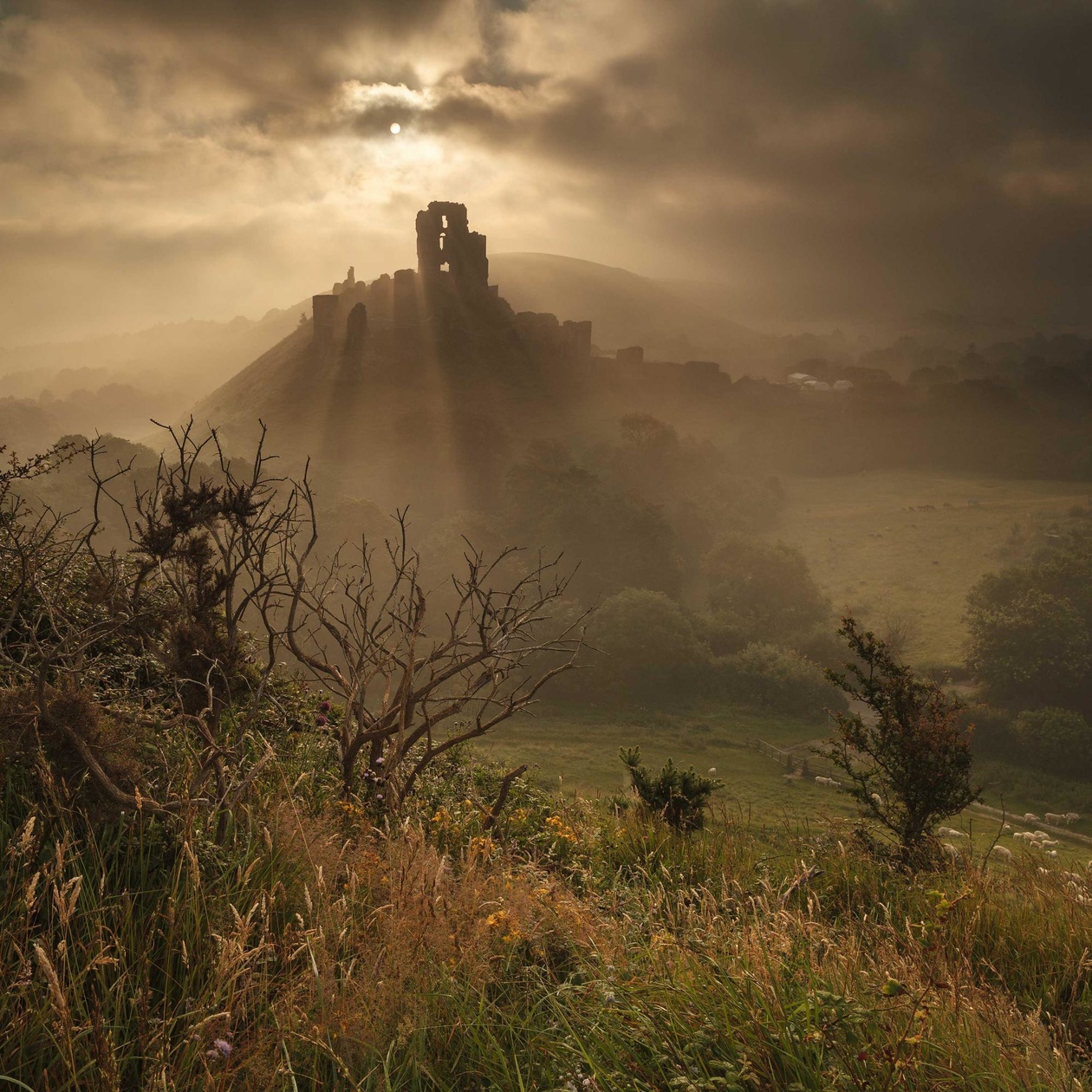 Click image for larger version

Name:	2000_corfe-summer-mist-copy-2__popup.jpg
Views:	184
Size:	559,7 kB
ID:	1577928