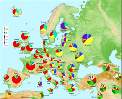 Click image for larger version

Name:	?u=http%3A%2F%2Fthedockyards.com%2Fwp-content%2Fuploads%2F2015%2F04%2FGenetic-Map-of-Europe-1024x832.png&amp;f=1.png
Views:	43
Size:	238,4 kB
ID:	1708570