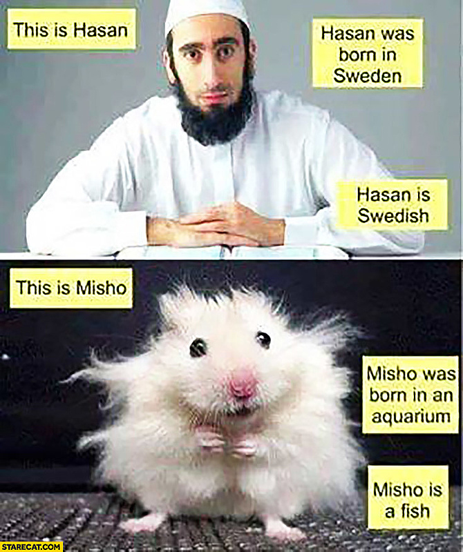 Click image for larger version

Name:	this-is-hasan-he-was-born-in-sweden-hasan-is-swedish-muslim-this-is-misho-he-was-born-in-an-aquarium-misho-is-a-fish-hamster-comparison-trolling.jpg
Views:	101
Size:	148,4 kB
ID:	1732838