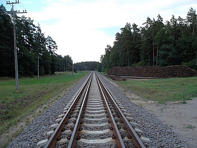 Click image for larger version

Name:	Rail_Baltica_Lietuva-1980x1485.jpg
Views:	133
Size:	494,3 kB
ID:	1780662