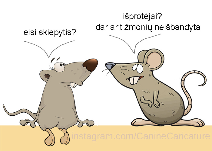 Click image for larger version  Name:	eisi skiepytis 700.jpg Views:	0 Size:	93,6 kB ID:	1851757