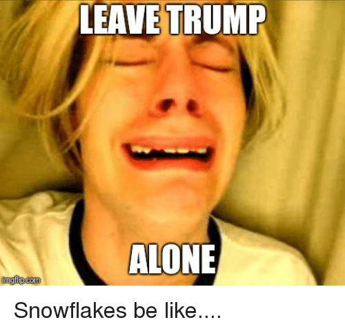 Click image for larger version

Name:	leave-trump-alone-snowflakes-be-like-35553008.png
Views:	151
Size:	109,5 kB
ID:	1855279