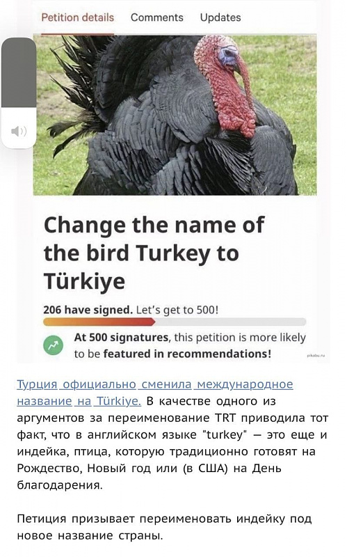 Click image for larger version

Name:	turkey.jpg
Views:	529
Size:	134,0 kB
ID:	1975975