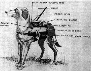 Click image for larger version

Name:	anti-tank-dog-outfit.jpg
Views:	501
Size:	25,5 kB
ID:	2040955
