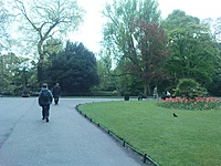 St. Stephen's Green (4)