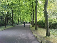 St. Stephen's Green (5)