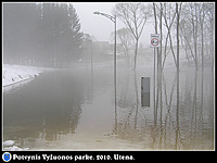 Potvynis Vyžuonos parke