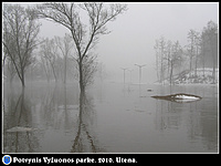 Potvynis Vyžuonos parke