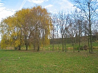 Marijampolė