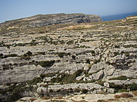 Gozo 26