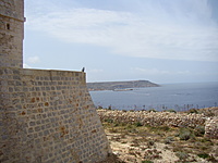 Comino 21