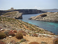 Comino 26