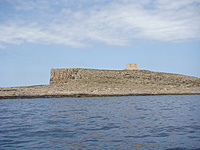 Comino 33