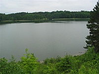 Suvalkų siaurukas