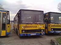 Atvaizdas581