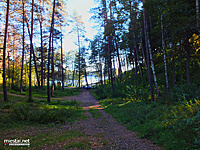 Ginučių - Papiliakalnės piliakalnio papėdė