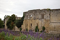 DSC 6721 St Emilion