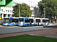 Double Van Hool AGG 300 tripple bendy buses in Uithof