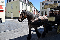 Sliedrechtas Briuge Sliedrechtas 2011 05 25 180