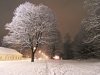 Vilnius per šalčius_1