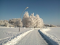 Palei ežero krantą