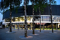 Kedainiu_arena