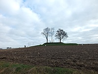 Rusijos karių kapinės Vaitiškėse