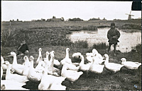 1925m.berniukas su žąsimis žydų vaikų namuose.