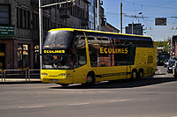 ecolines